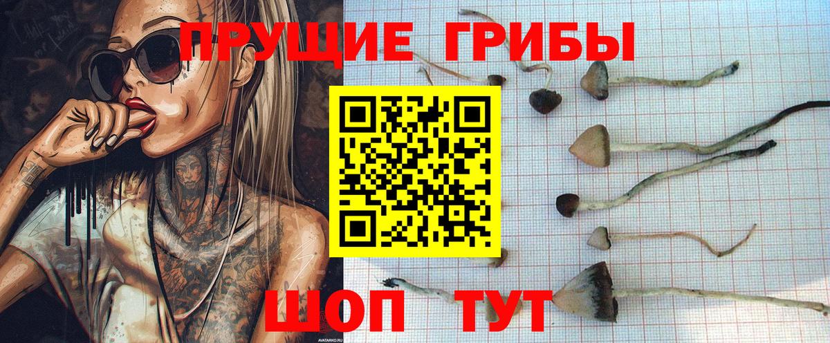 Чита  Псилоцибиновые грибы ЛСД  Галлюциногенные грибы Psilocybine cubensis  Вход с VPN 