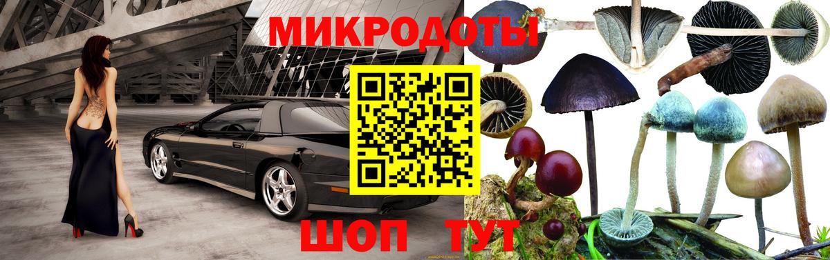 Псилоцибиновые грибы Psilocybine cubensis Чита